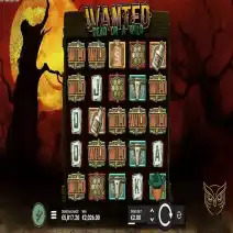 Wanted Dead or Wild spielen
